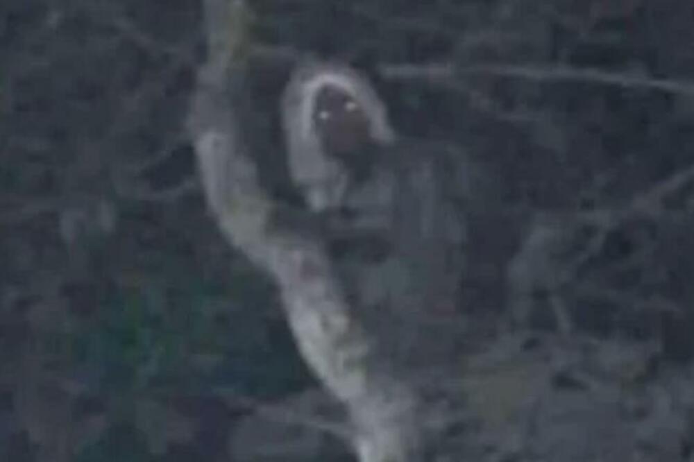 PREDSEDNIK OBJAVIO SABLASNU FOTOGRAFIJU: Misli da to može biti samo 1 STVAR, ostaćete BEZ TEKSTA (FOTO)