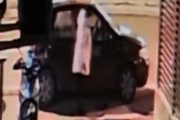 ŠETALA PSA, PA UKRALA NOVAC USRED BEOGRADA: Vlasnik moli za POMOĆ, a obećao je i NAGRADU ako je PREPOZNATE (VIDEO)