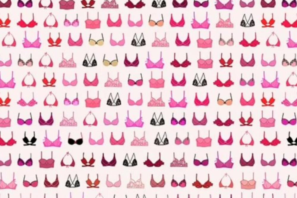 RAZBUDITE MOZAK UZ OVU SKRIVALICU: Pokušajte da pronađete šta se SKRIVA među ovim grudnjacima