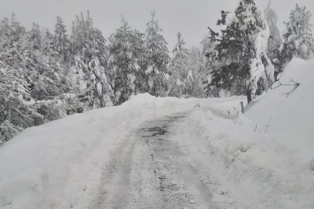 Miodrag Jokić, Ljubovija