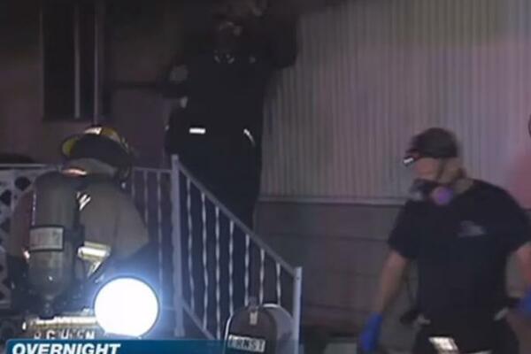 KAD JE NEKO GLUP, ONDA JE STVARNO GLUP: Svi bruje o potezu Amerikanca koji je palio paukove, ALI GLEDAJTE SNIMAK