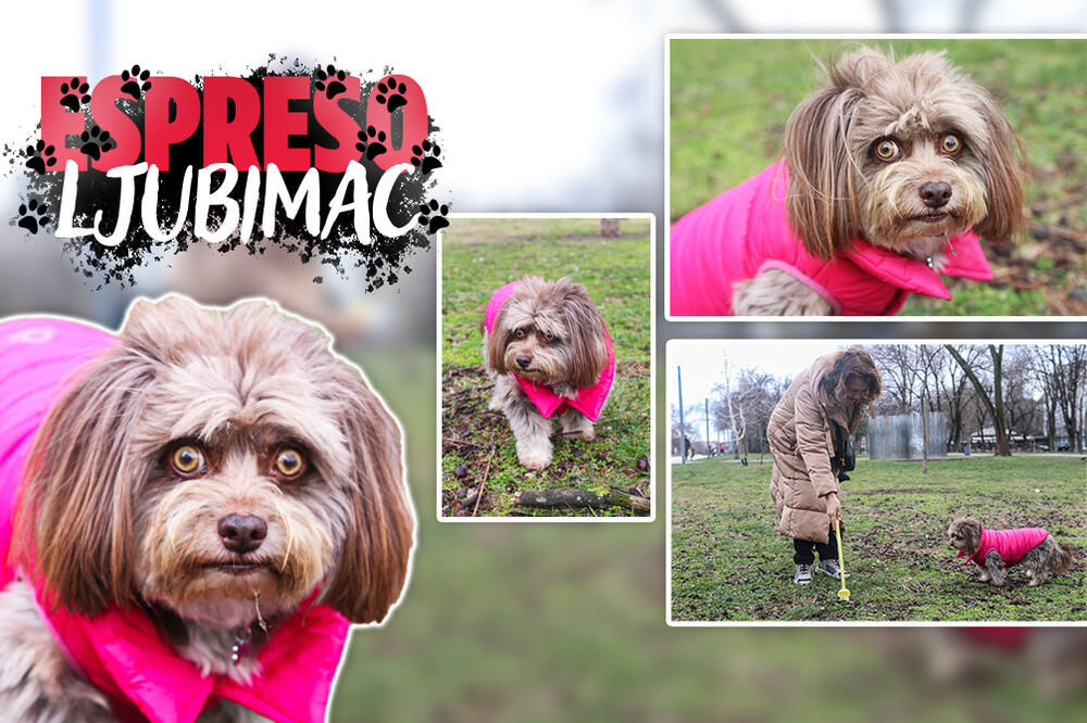 UPOZNAJTE DOBRILU, ZVEZDU DRUŠTVENIH MREŽA: Njene oči osvojile su ljude širom sveta! (FOTO)