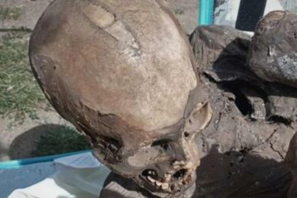 ČAK I POLICIJA ZANEMELA! Dostavljač nosio torbu, a ono što je u njoj ŠOKIRALO JE CEO SVET