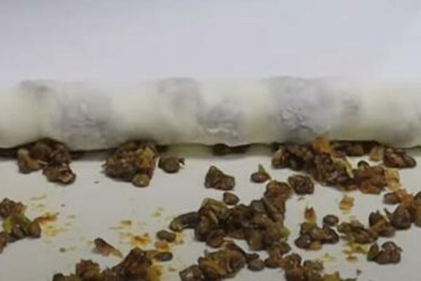 NAJLAKŠI RECEPT ZA DOMAĆE KORE KOJE UVEK USPEVAJU: Svaka DOMAĆICA će ih od sada SAMO OVAKO SPREMATI