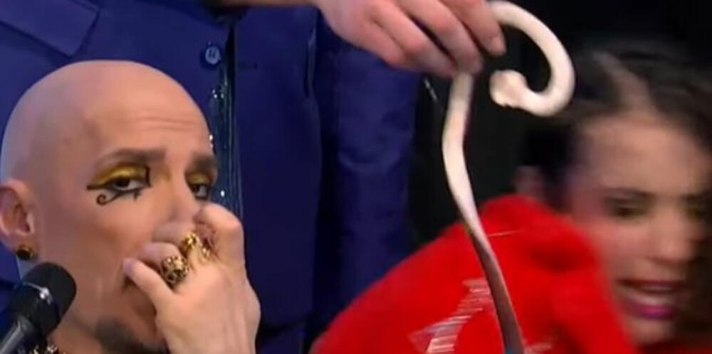 Stefan je izvukao zmiju, a pratilja grupe 'The Gift' je spustila glavu svom kolegi u krilo, a zatim i demonstrativno ustala