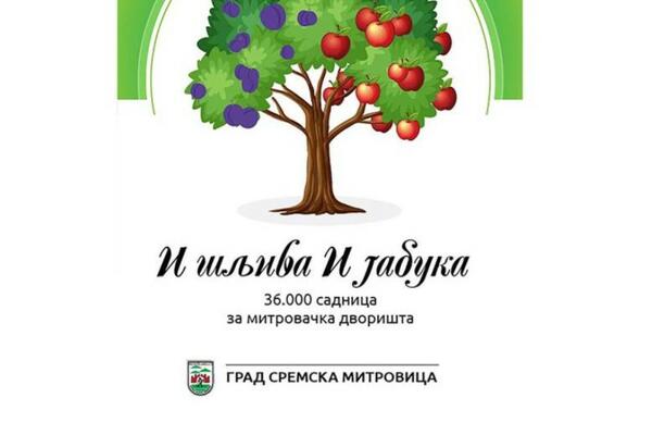 SREMSKA MITROVICA: Najveća akcija sadnje do sada - 36 HILJADA SADNICA ZA MITROVAČKA DVORIŠTA