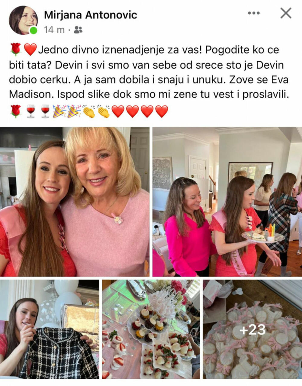 Ljubavnica Miroslava Ilića