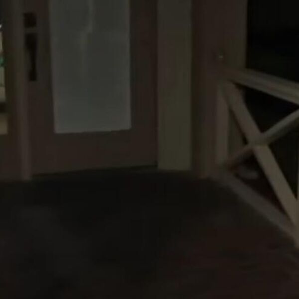 PRESELIO SE U AUSTRALIJU, PA SE PRESTRAVIO KADA JE OVO ZATEKAO ISPRED KUĆE: Evo šta ga je SAČEKALO (VIDEO)