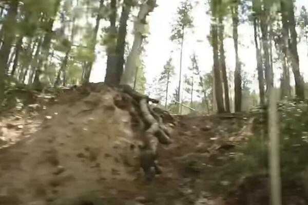 VOZIO SE VOZOM, PA PRIMETIO NEŠTO MORBIDNO ŠTO JE MNOGE OSTAVILO BEZ TEKSTA: Dobro pogledajte FOTOGRAFIJU (VIDEO)