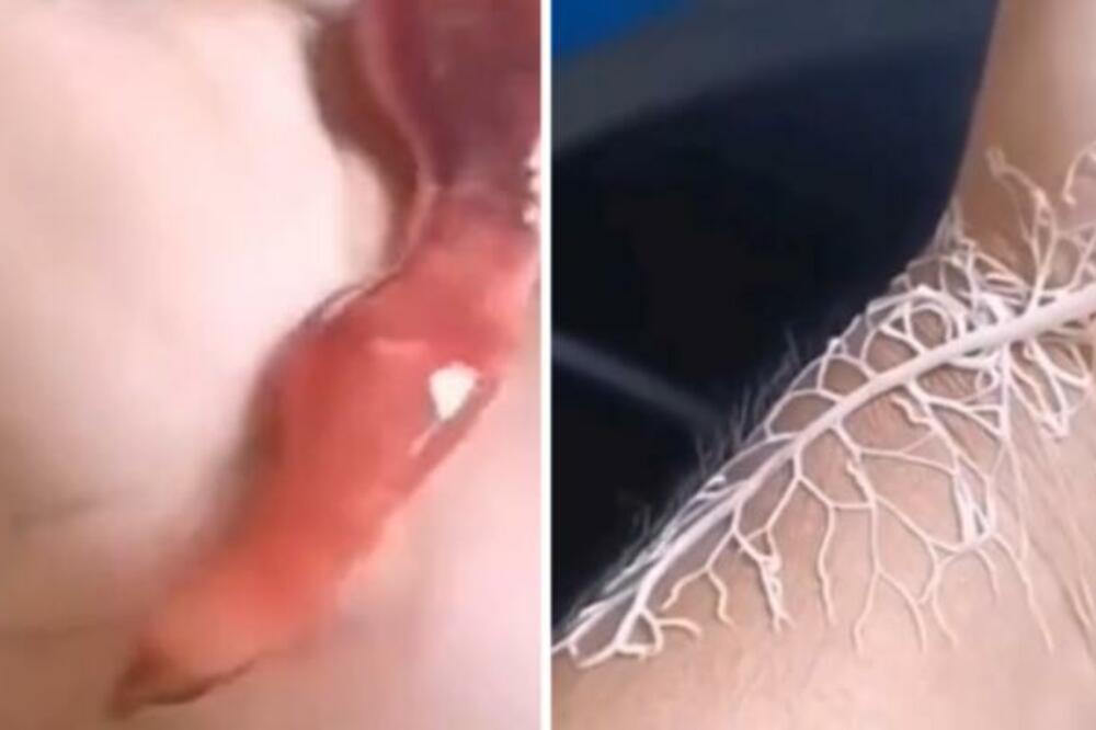 ŠTA JE, BRE OVO? Snimljeno ČUDNO STVORENJE, i više je nego BIZARNO, gledajte samo OVO (VIDEO)