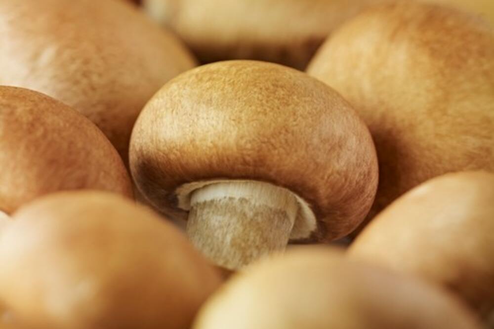 AKO POJEDETE OVU NAMIRNICU PRE SPAVANJA SMRŠAĆETE: Ruskinja tvrdi da će se KILOGRAMI TOPITI sa vas