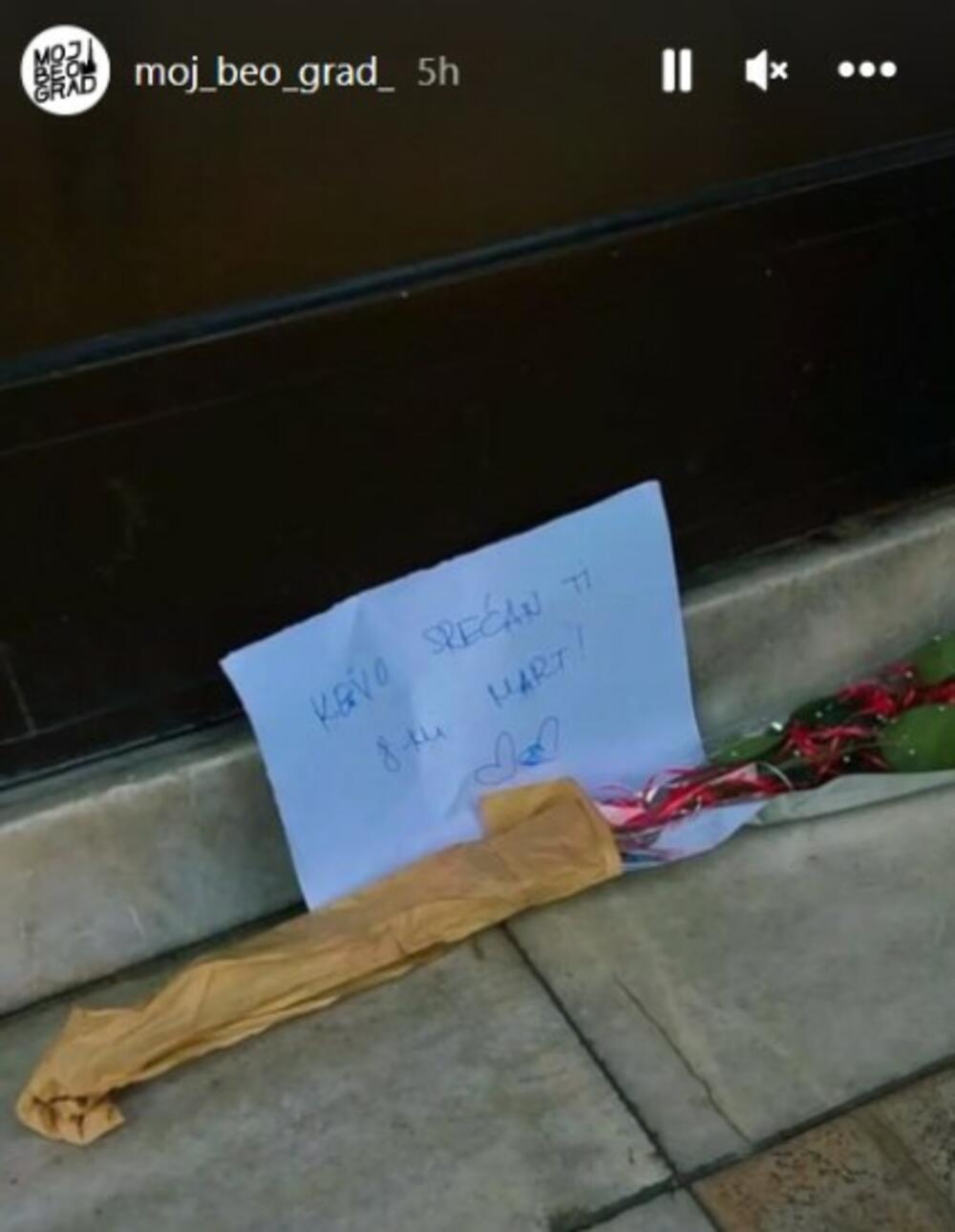 Poruka majci za Osmi mart