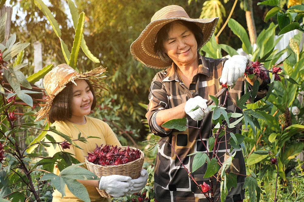 Kineski parlament naglasio jačanje sveobuhvatne narodne demokratije