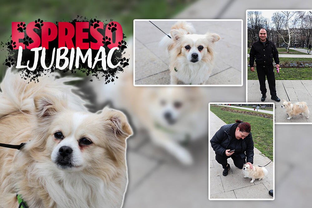 UPOZNAJTE HRABRU MONU: Ljubav roditelja može da izbriše tragičnu prošlost (FOTO)