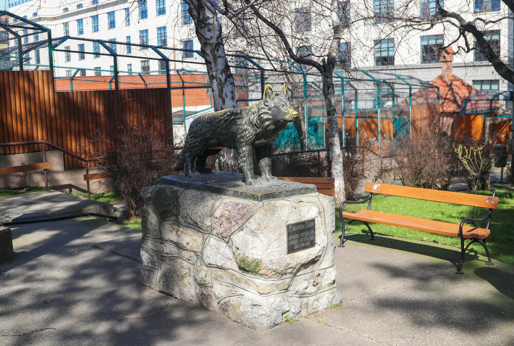 Gabina bista u Vrtu dobre nade