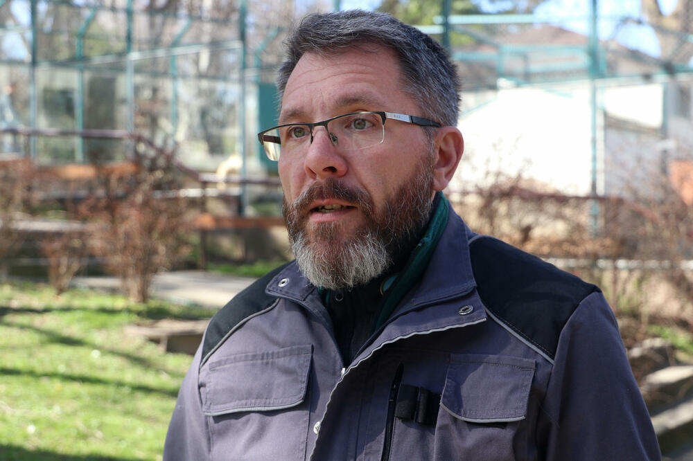 AKO ZMIJA IDE PREMA VAMA, SAMO OVAKO ĆETE SE ZAŠTITITI: Biolog OTKRIO šta vas ČUVA OD NJE, Srbi za OVO NE ZNAJU