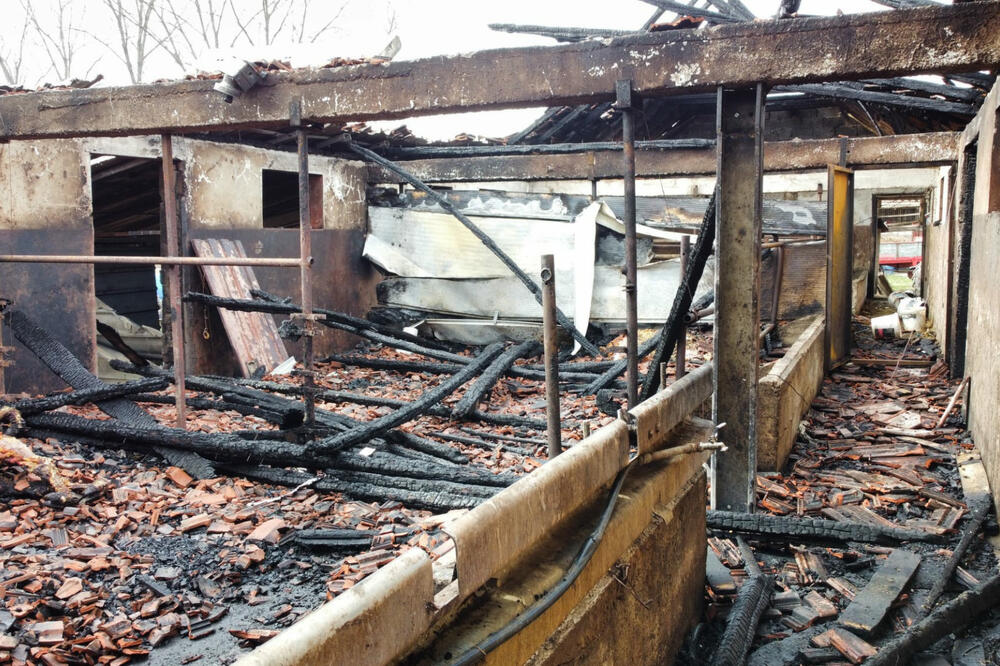 JEZIVE SLIKE MRTVIH ŽIVOTINJA NAKON POŽARA U KONJEVIĆIMA: Bik od 400 kilograma pobegao, domaćini tragaju za njim