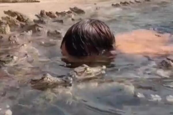 SNIMAK KOJI ĆE VAM UTERATI JEZU U KOSTI: Dečak pliva u bazenu PUNOM KROKODILA, da li je ovo MOGUĆE? (VIDEO)