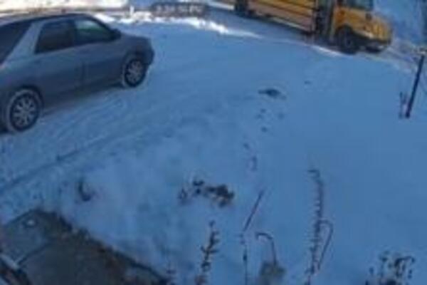 NADZORNA KAMERA SNIMILA PSA KAKO RADI NEVEROVATNU STVAR SA DEČAKOM: Svakog dana U ISTO VREME, je l moguće (VIDEO)