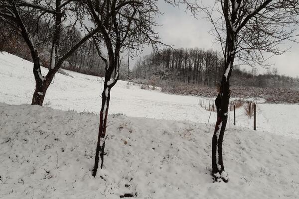 Na ovoj planini u Srbiji palo 30 cm snega: Prava zimska idila - prizori su kao iz bajke (FOTO)