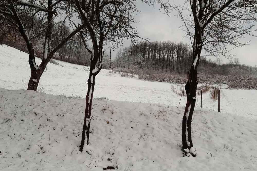 "BABINI JARČEVI" HARAJU OVIM DELOM SRBIJE: Meštane ranom zorom dočekao snežni pokrivač USRED MARTA! (FOTO)
