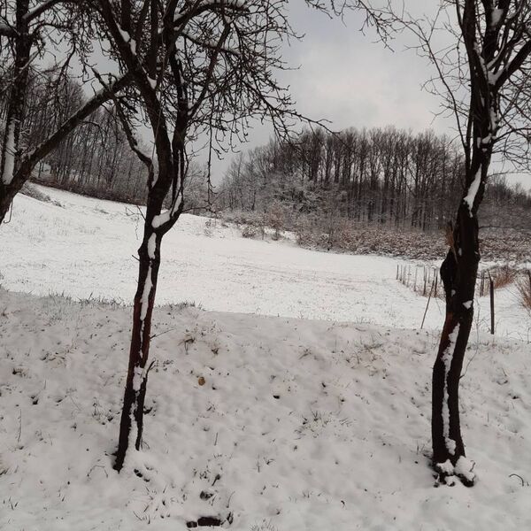 Na ovoj planini u Srbiji palo 30 cm snega: Prava zimska idila - prizori su kao iz bajke (FOTO)