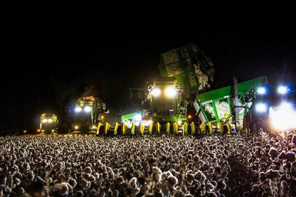 OPTIČKA ILUZIJA GODINE: Ova fotografija će vam se dobro POIGRATI SA MOZGOM, pogledajte pažljivo U NJU (FOTO)