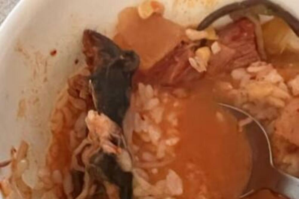 MUŽ I ŽENA VEČERALI I PRONAŠLI MRTVOG PACOVA U SUPI: Inspekcija odmah ZATVORILA RESTORAN (VIDEO)