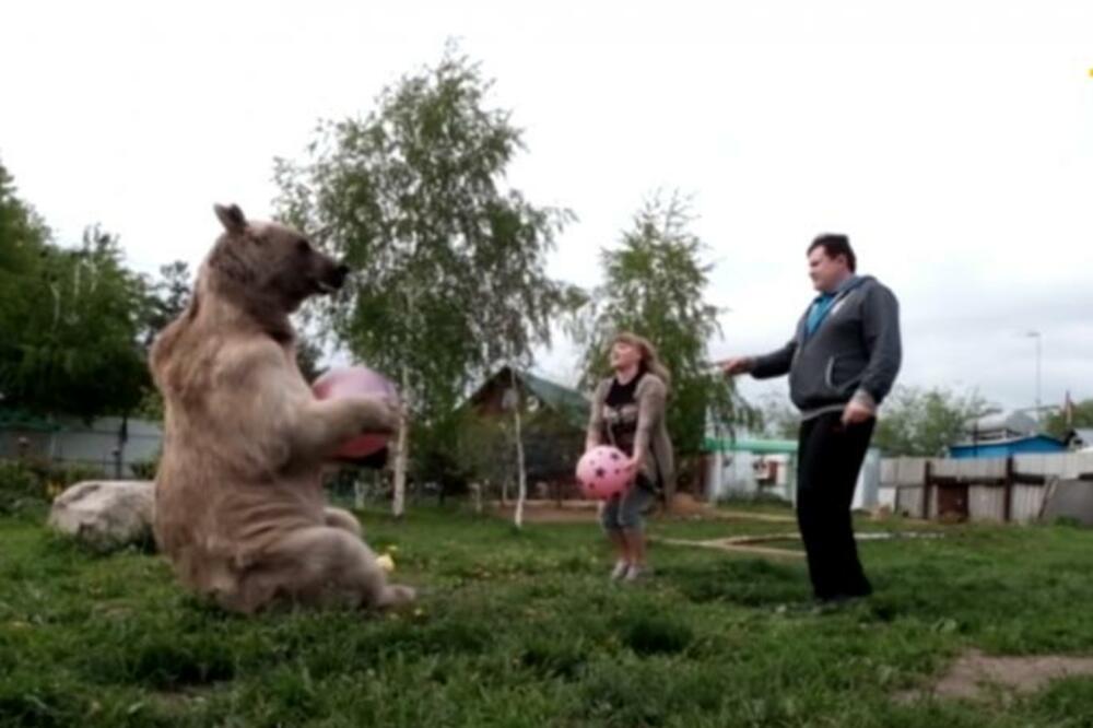 SVETLANA JE UDOMILA MEDVEDA OD 450 KILOGRAMA: Ono što im RADI SVAKI DAN nije REALNO, pazite SAMO (VIDEO)