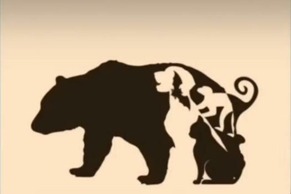 TEST KOJI ĆE VAM POKAZATI DA LI SPADATE U MALI BROJ NATPROSEČNO INTELIGENTNIH: Koliko životinja ima na slici