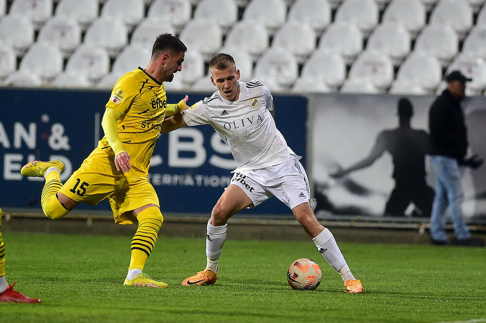 Vladimir Lučić (desno)