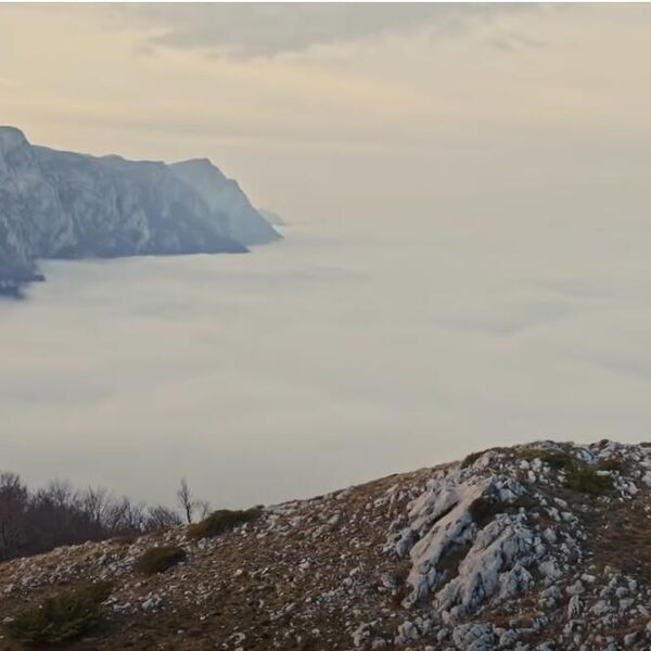 Traje borba sa vatrenom stihijom na Suvoj planini! Evo da li su ugrožene kuće!