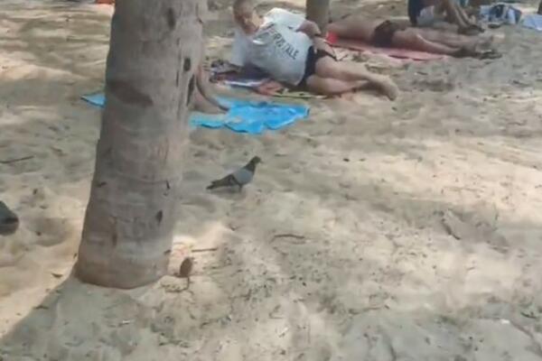 BEŽALI I VRIŠTALI OD NEOBIČNE POJAVE NA PLAŽI: Jedan pokušao da ga UHVATI pa POPIO UGRIZ, ljudi nisu REALNI (VIDEO)