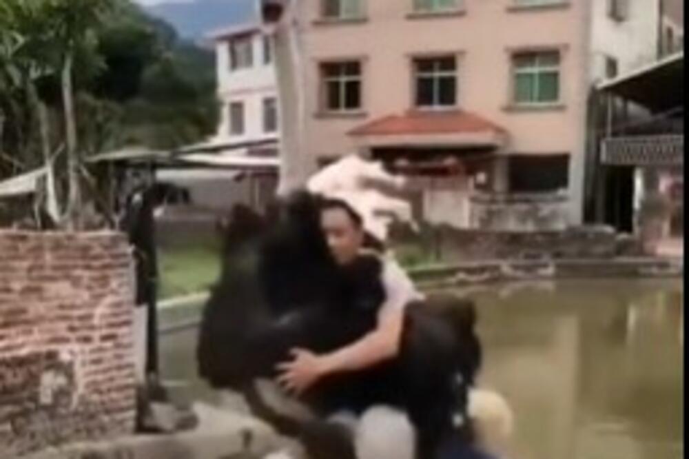 POKUŠAO DA JAŠE NOJA, ALI NIJE OČEKIVAO NJEGOVU "OSVETU": Zašto je mislio da je OVO DOBRA IDEJA? (VIDEO)