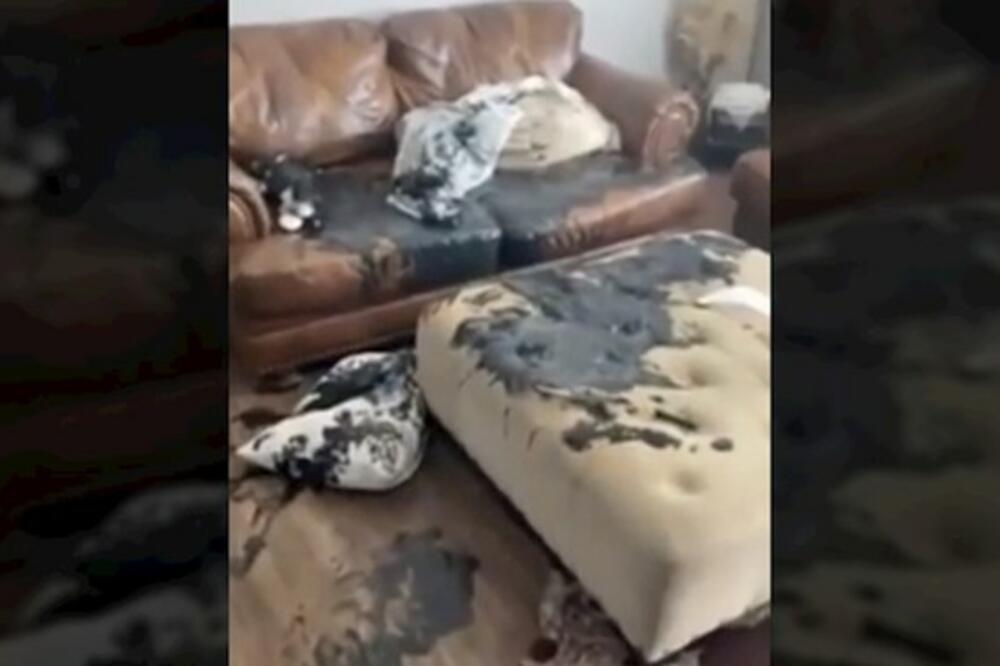 LEGLA U KREVET I PROBUDILA SE SA UJEDIMA PO CELOM TELU: Videla FLEKE na krevetu, a onda otkrila GROZNU ISTINU! FOTO