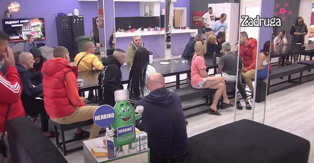 zadruga 6