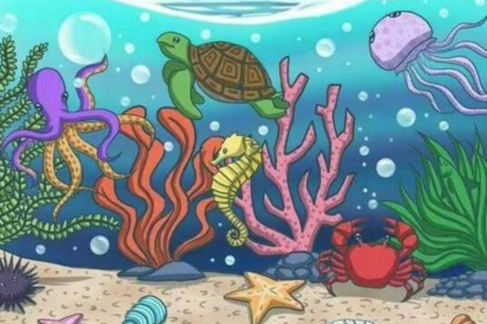 OVA SLIKA MOŽE DA OTKRIJE KOLIKO STE INTELIGENTNI: Da li vidite RIBU na njoj (FOTO)