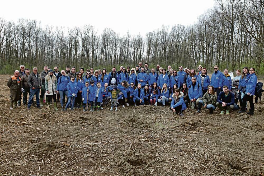 ZASADI DRVO: Stigli smo do pola miliona!