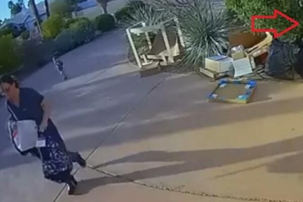 DOK JE DEČAK PRATIO MAMU IZ ŽBUNA JE ISKOČILA 1 ZVER: Posle SEKUND se prolomio VRISAK i PLAČ, JEZIV SNIMAK