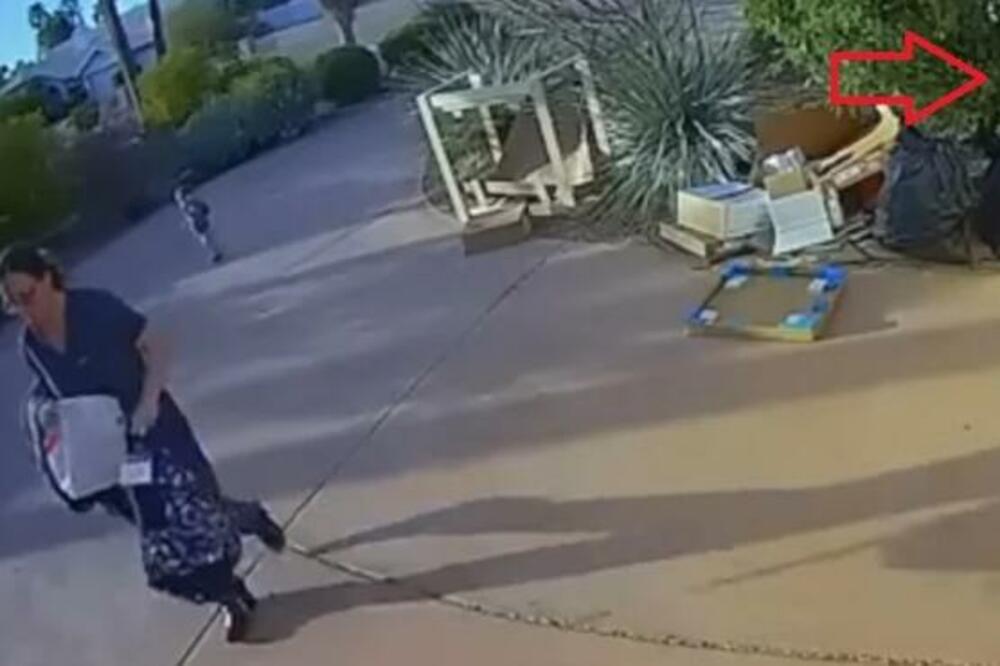 DOK JE DEČAK PRATIO MAMU IZ ŽBUNA JE ISKOČILA 1 ZVER: Posle SEKUND se prolomio VRISAK i PLAČ, JEZIV SNIMAK