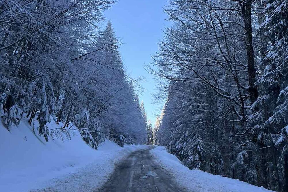OTROVNICA UHVAĆENA NA GOLIJI U DECEMBRU: Meštani sela Bele Vode imali veoma NEPRIJATNO iznenađenje (FOTO)