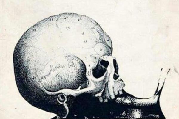 OPTIČKA ILUZIJA KOJA OTKRIVA ČIME BI TREBALO DA SE BAVITE: Posvetite se STVARANJU ovakve KARIJERE (FOTO)