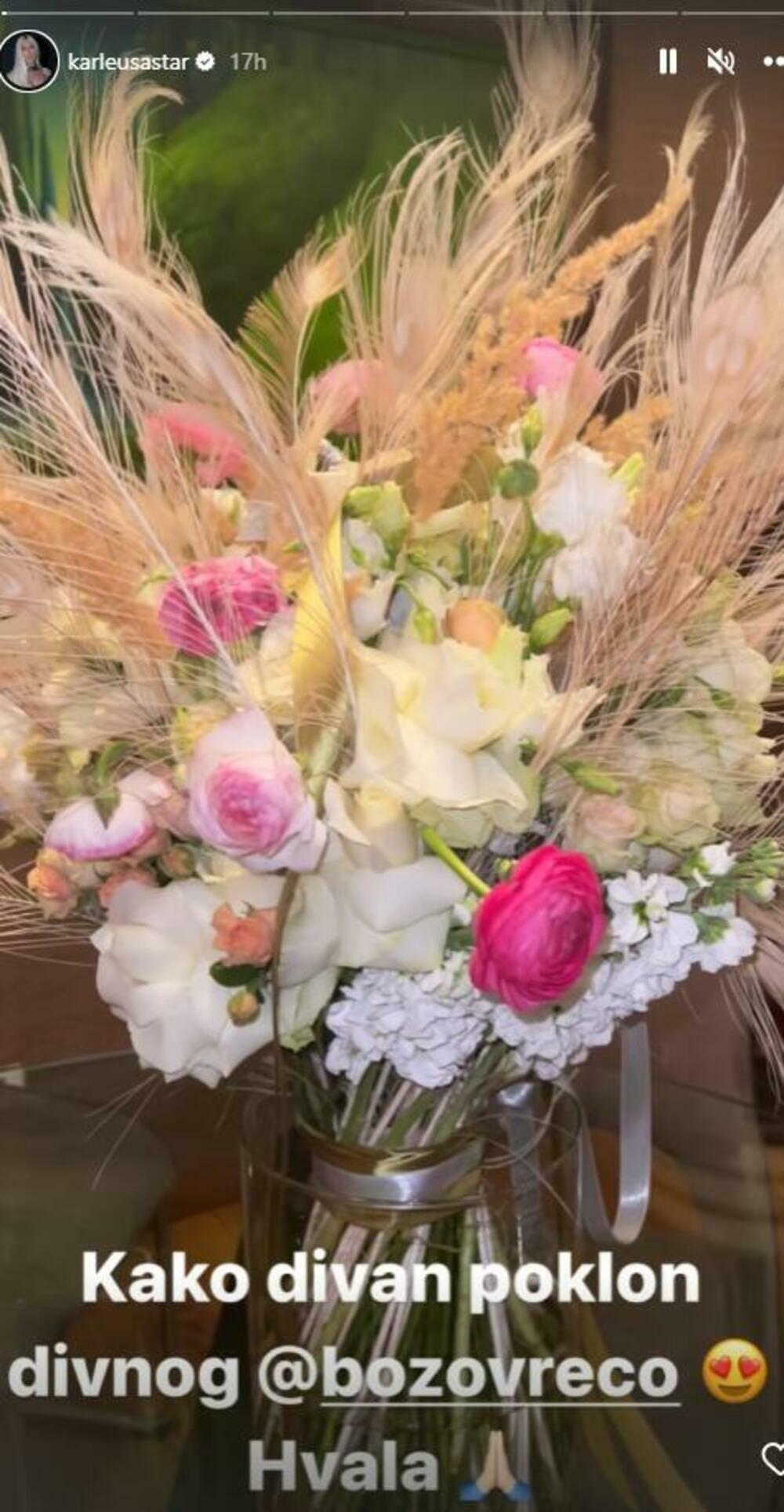 Objava Jelene Karleuše 