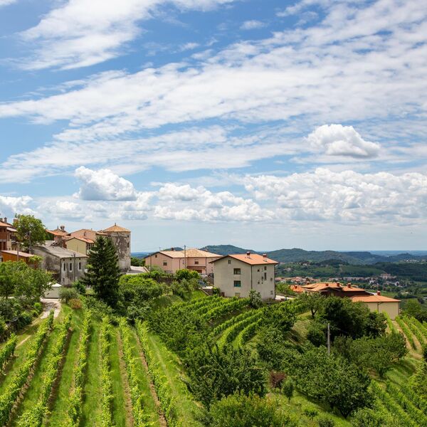 PARIRA TOSKANI I NALAZI SE SAMO 6 SATI VOŽNJE OD BEOGRADA: Ovo selo je za GURMANE i ljubitelje VINA (FOTO)