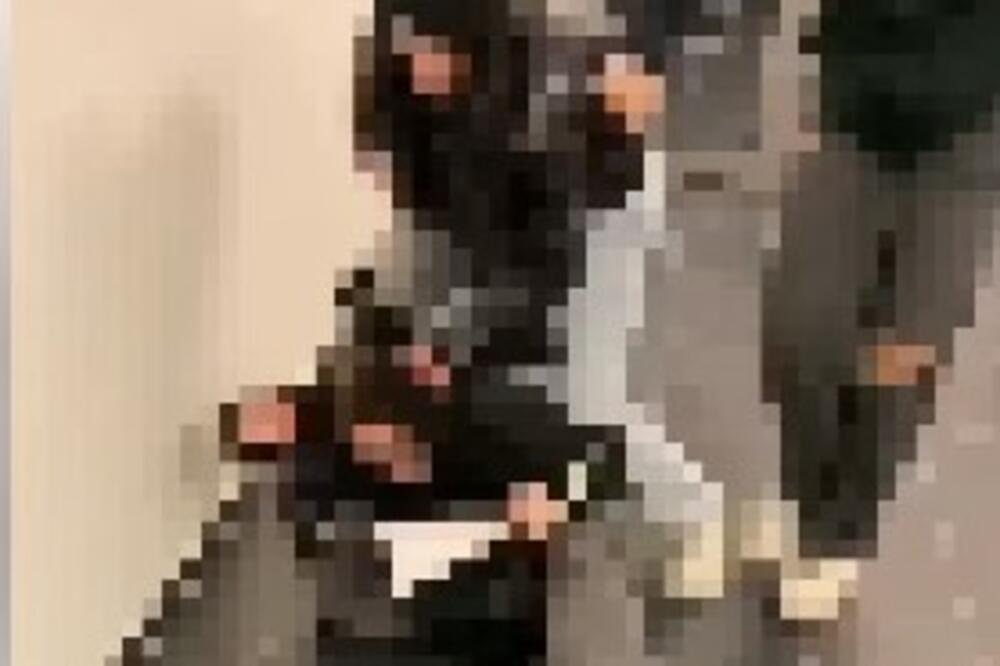 OBJAVLJEN UZNEMIRUJUĆ SNIMAK JOŠ JEDNOG VRŠNJAČKOG NASILJA: Devojčicu vukle za kosu, ŠUTIRALE I ŠAMARALE (VIDEO)