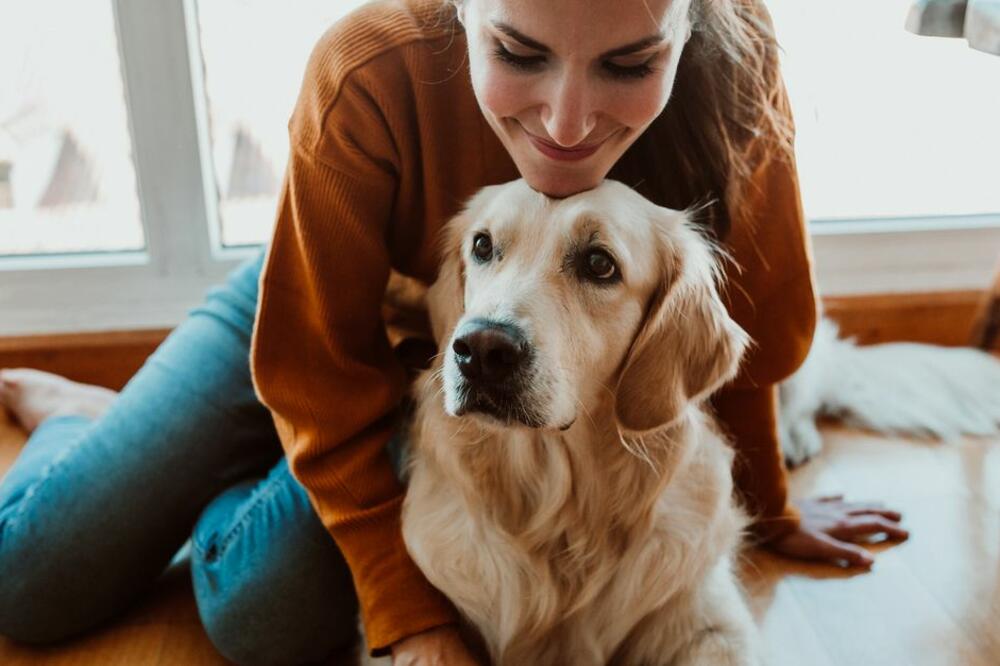 VETERINARI SAVETUJU: Ovo je najbolji način da se izborite sa LINJANJEM ljubimaca!
