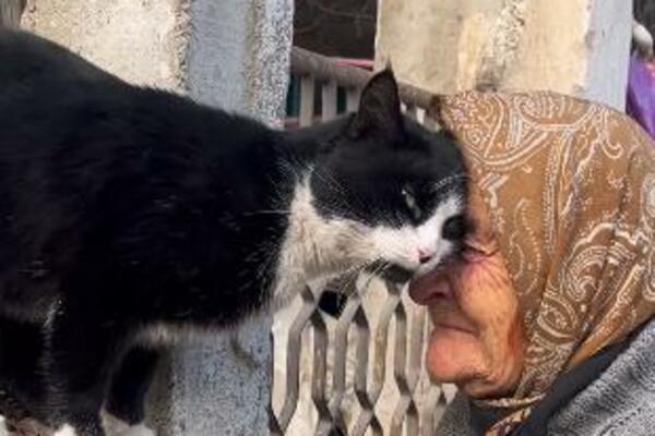 UHVAĆENI U ZANOSU: Snimak MAČKE I BABE obišao svet, POGLEDAJTE ŠTA RADE NAOČIGLED SVIH (VIDEO)