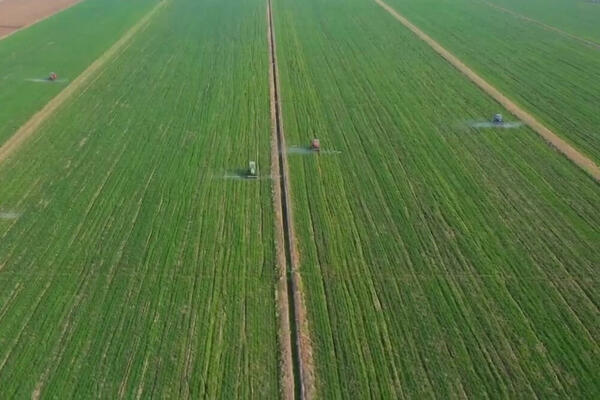 KINA: Proizvodnja žitarica stalno raste (VIDEO)