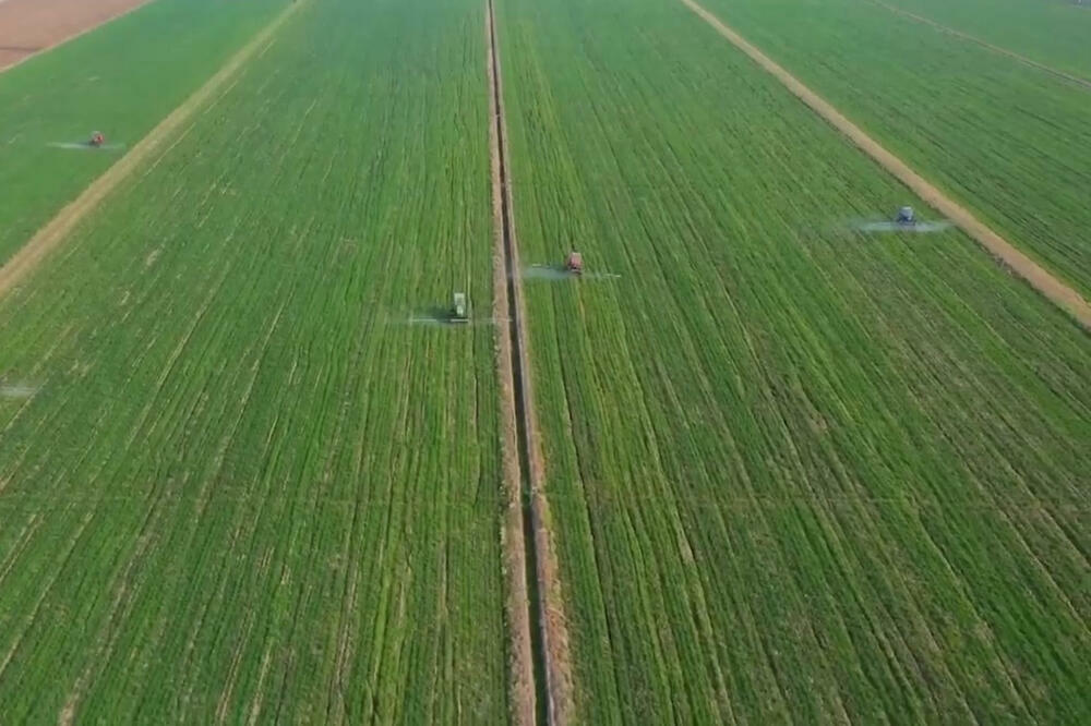 KINA: Proizvodnja žitarica stalno raste (VIDEO)