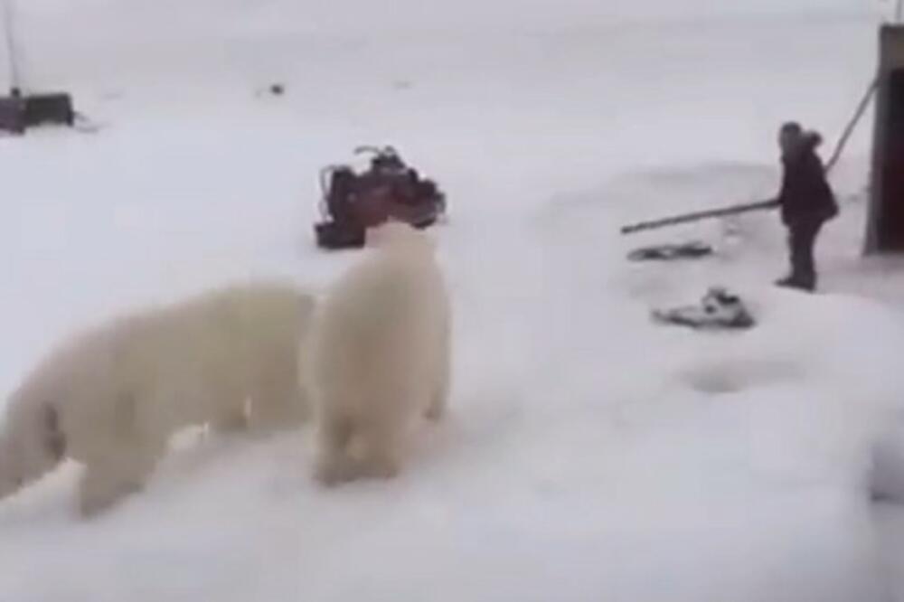 ČOVEK SE STOIČKI BORIO PROTIV DVA OGROMNA MEDVEDA: Kada vidite ŠTA mu je bilo oružje PAŠĆETE U NESVEST (VIDEO)
